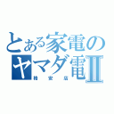 とある家電のヤマダ電機Ⅱ（格安店）