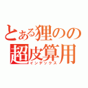 とある狸のの超皮算用（インデックス）