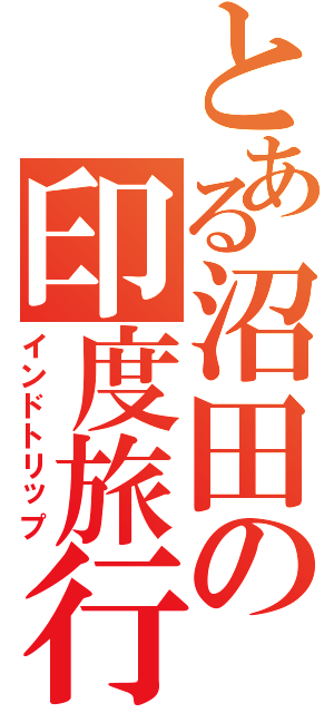 とある沼田の印度旅行（インドトリップ）