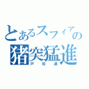 とあるスフィアの猪突猛進（戸松遥）