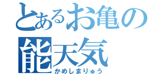 とあるお亀の能天気（かめしまりゅう）