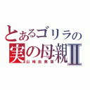 とあるゴリラの実の母親Ⅱ（山﨑由美恵）