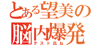 とある望美の脳内爆発（テスト氏ね）