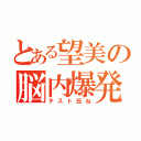 とある望美の脳内爆発（テスト氏ね）