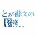 とある蘇文の腦殘（腦殘無敵）