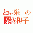 とある栄の秦佐和子（しゃわこ）