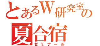 とあるＷ研究室の夏合宿（ゼミナール）