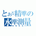 とある精準の水準測量（哇哈哈哈）