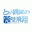 とある跳躍の完璧飛翔（パーフェクトフライ）