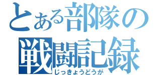 とある部隊の戦闘記録（じっきょうどうが）