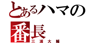 とあるハマの番長（三浦大輔）