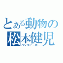 とある動物の松本健児（パンダヒーロー）