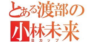 とある渡部の小林未来（Ｂカップ）