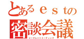 とあるｅｓｔの密談会議（シークレットミーティング）