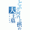 とある河内と摂津の大王墓（ニサンザイ）