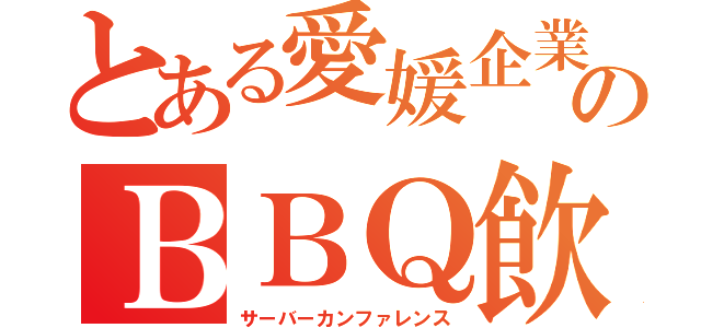 とある愛媛企業のＢＢＱ飲み会（サーバーカンファレンス）