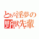 とある淫夢の野獣先輩（男の娘）