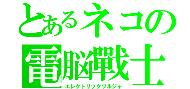 とあるネコの電脳戰士（エレクトリックソルジャ）