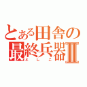 とある田舎の最終兵器Ⅱ（としこ）