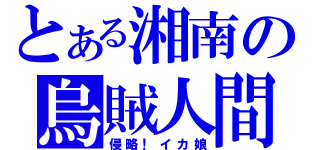 とある湘南の烏賊人間（侵略！イカ娘）