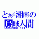 とある湘南の烏賊人間（侵略！イカ娘）