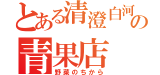 とある清澄白河の青果店（野菜のちから）