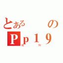 とある飄飄のＰｐ１９（超狗）