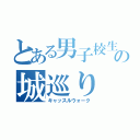 とある男子校生の城巡り（キャッスルウォーク）