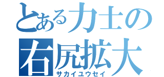 とある力士の右尻拡大（サカイユウセイ）