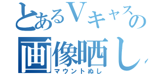 とあるＶキャスの画像晒し（マウントぬし）