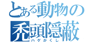 とある動物の禿頭隠蔽（ハゲかくし）