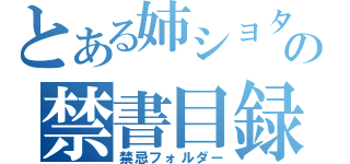 とある姉ショタの禁書目録（禁忌フォルダー）