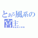 とある風系の宮主（吸血鬼の學院）