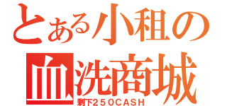 とある小租の血洗商城（剩下２５０ＣＡＳＨ）