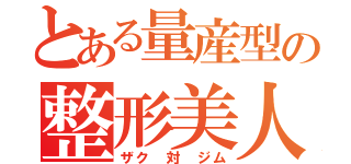 とある量産型の整形美人（ザク　対　ジム）