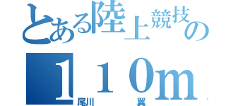 とある陸上競技部の１１０ｍＨ（尾川     翼）