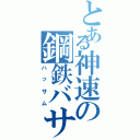 とある神速の鋼鉄バサミ（ハッサム）