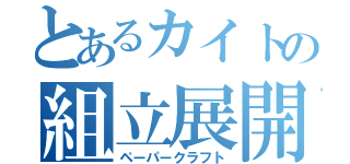 とあるカイトの組立展開図（ペーパークラフト）