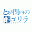 とある関西の雌ゴリラ（メスゴリラ）