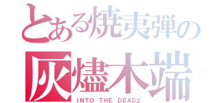 とある焼夷弾の灰燼木端（ＩＮＴＯ　ＴＨＥ　ＤＥＡＤ２）