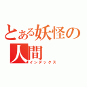 とある妖怪の人間（インデックス）