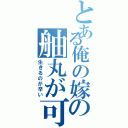 とある俺の嫁の舳丸が可愛くて（生きるのが辛い）