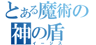 とある魔術の神の盾（イージス）