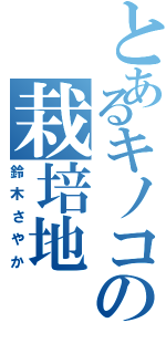 とあるキノコの栽培地（鈴木さやか）