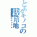 とあるキノコの栽培地（鈴木さやか）