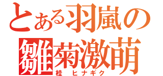 とある羽嵐の雛菊激萌（桂 ヒナギク）