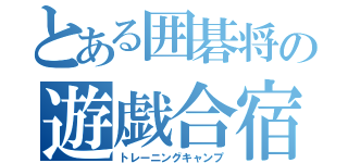 とある囲碁将の遊戯合宿（トレーニングキャンプ）