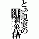 とある現実の徘徊狼藉（ストーカー）