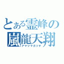 とある霊峰の嵐龍天翔（アマツマガツチ）