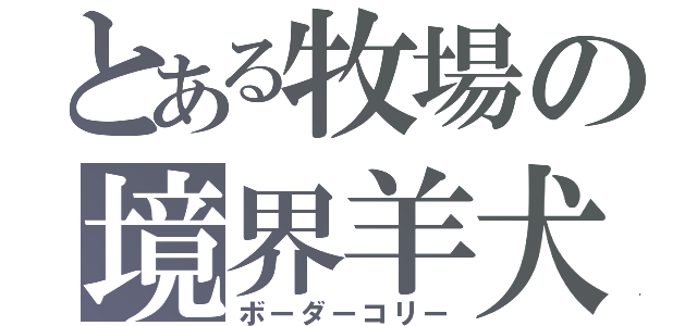 とある牧場の境界羊犬（ボーダーコリー）